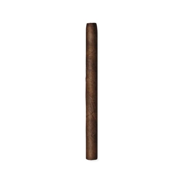 Zino Mini Cigarillos Nicaragua (3.1" x 19)- Pack of 20 - Image 2