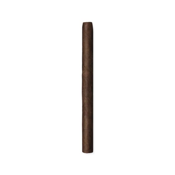 Zino Mini Cigarillos Red (3.1" x 19) - Pack of 20 - Image 2