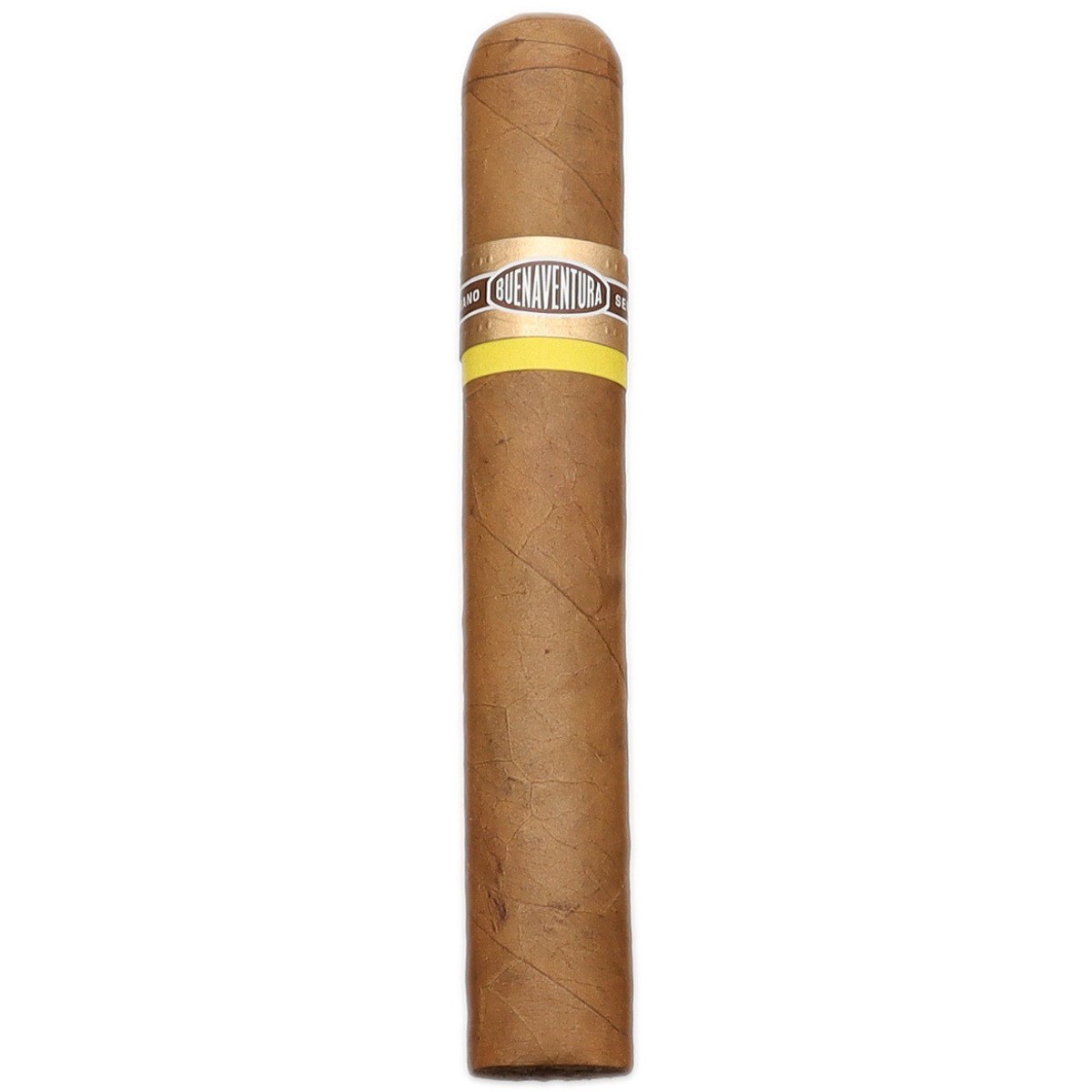 Curivari Buenaventura Favoritos 50 Connecticut (5" x 50) - Image 3