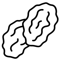 Dried Fruit icon
