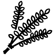 Toasted Wheat icon